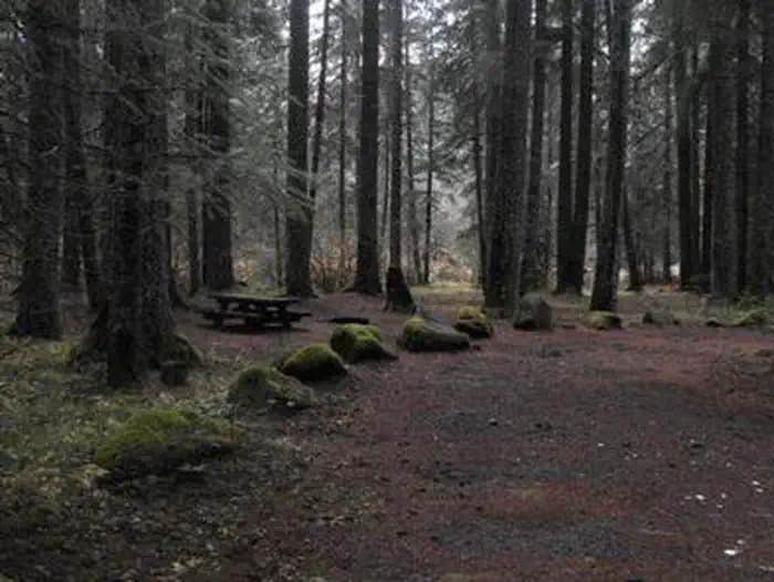 Camper submitted image from Frissell Crossing Campground - 1