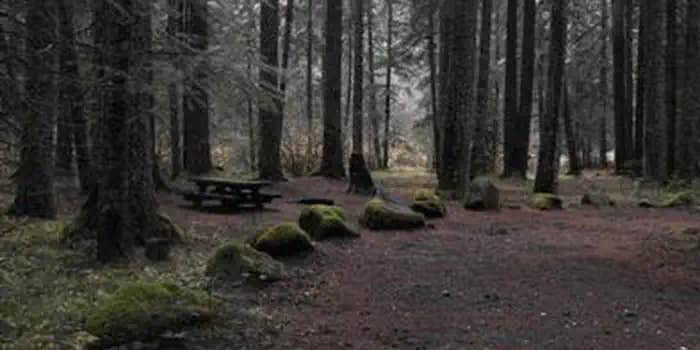 Camper submitted image from Frissell Crossing Campground