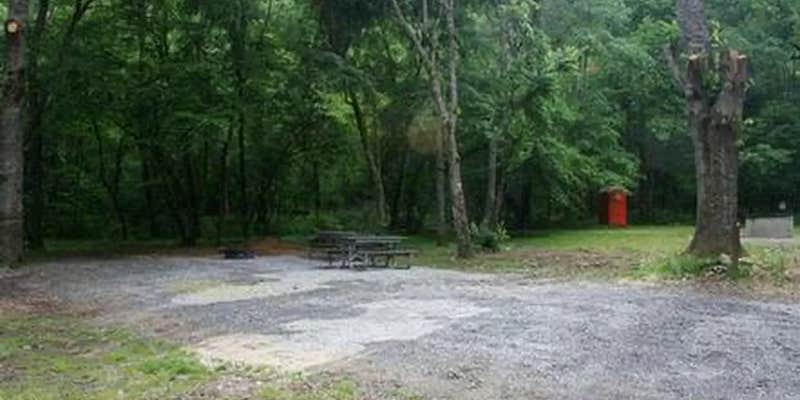 Camper submitted image from Cataloochee Horse Camp — Great Smoky Mountains National Park