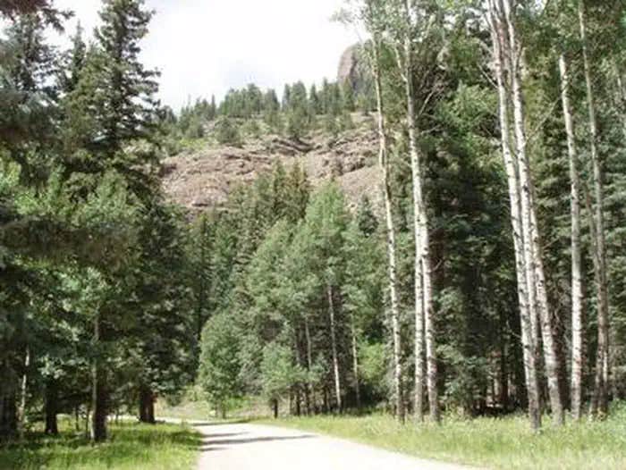 Camper submitted image from Palisades Horse Camp - 1