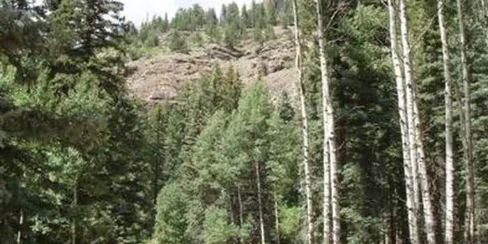 Camper submitted image from Palisades Horse Camp