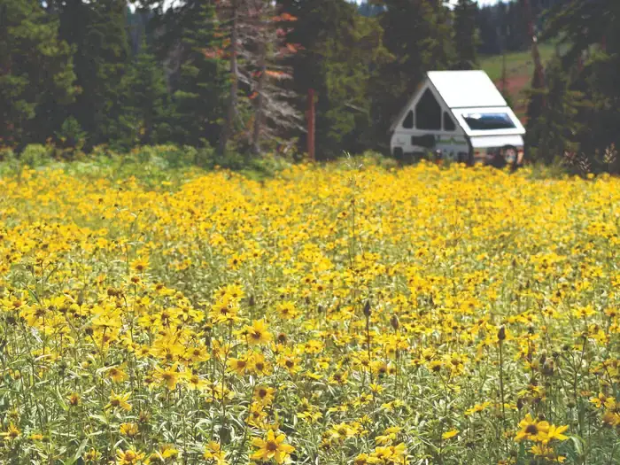 Camper-submitted photo at Point Supreme Campground — Cedar Breaks National Monument near Parowan, UT