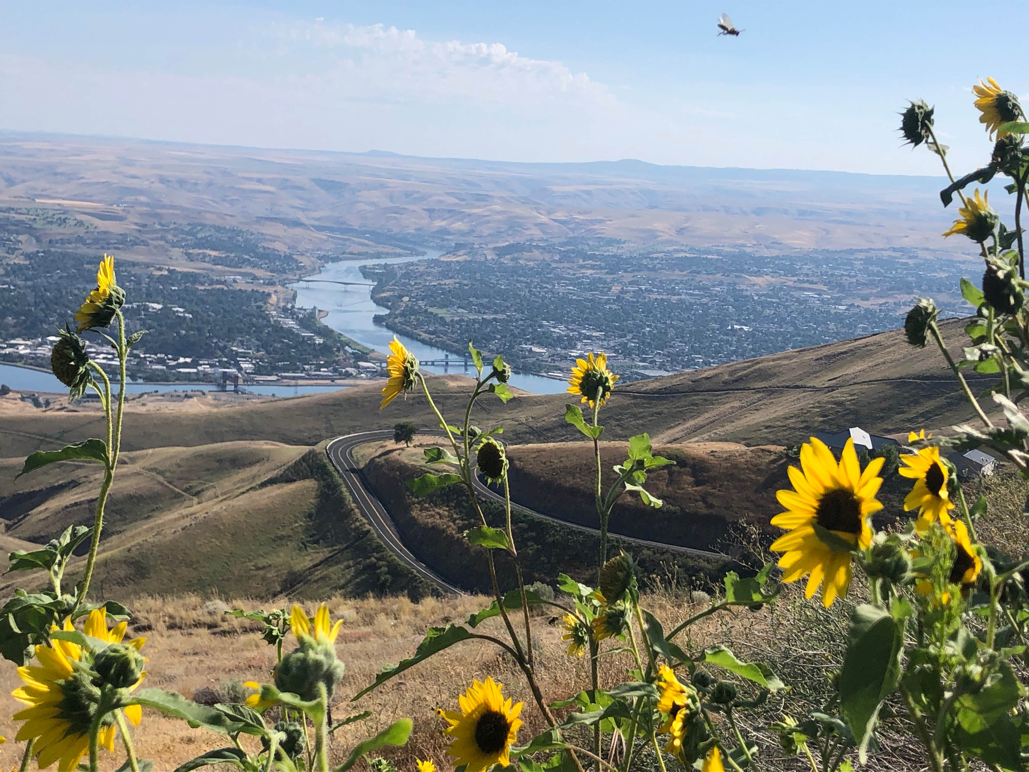 Camper-submitted photo at Hells Canyon Resort near Clarkston, WA