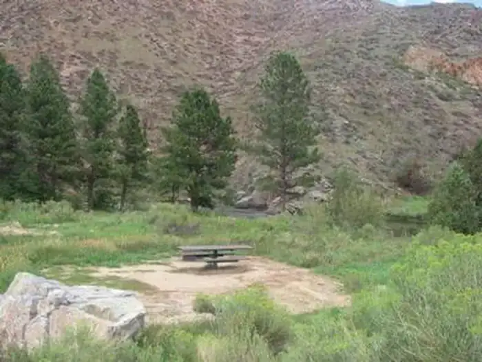 Camper-submitted photo at Stove Prairie near Livermore, CO