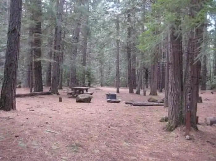 Camper-submitted photo at Fourbit Ford Campground near Butte Falls, OR