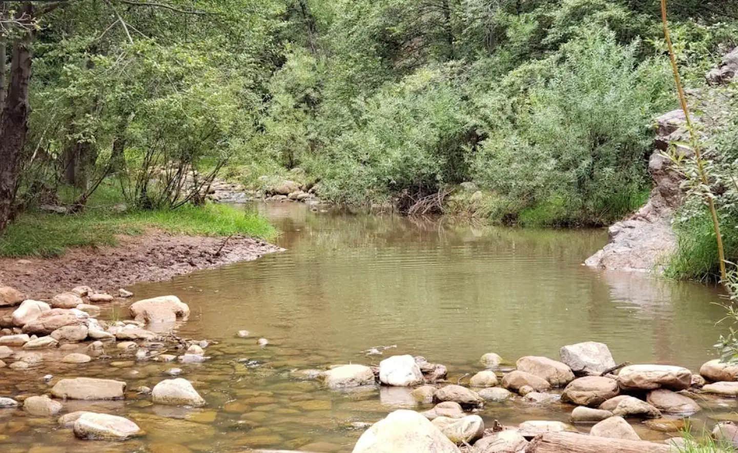 Camper submitted image from Lower Tonto Creek - 1