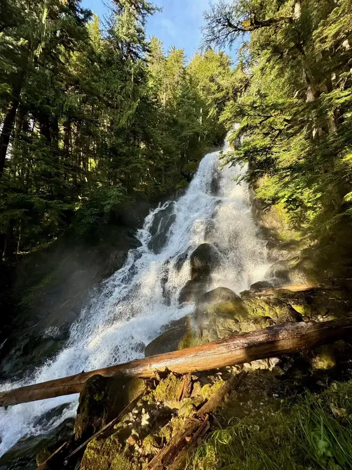 Camping near Bartlett Cove Campground — Glacier Bay National Park: Berners Bay Cabin, Auke Bay, Alaska