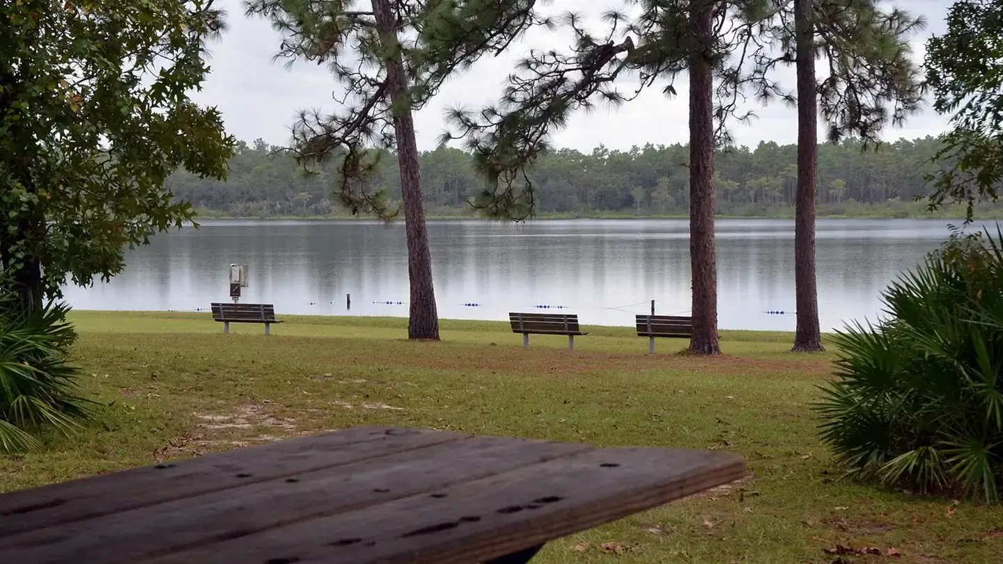 Camper-submitted photo at Camel Lake Campground near Apalachicola National Forest