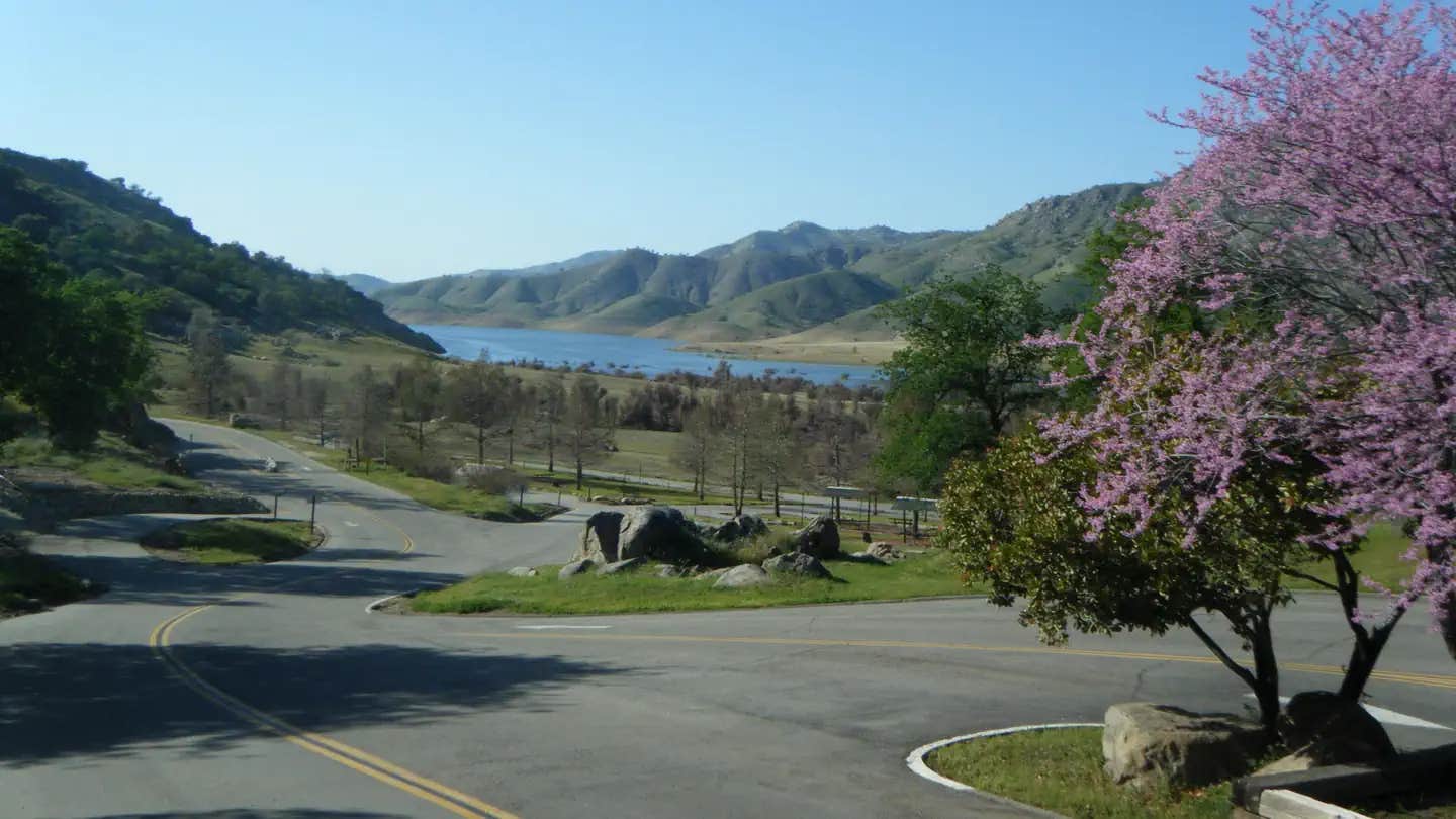 Camper submitted image from Horse Creek - 1