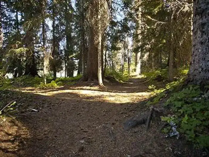 Camper-submitted photo at Trapper Creek Campground near Crescent, OR