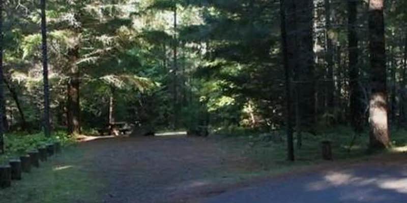 Camper submitted image from Deer Flat Group Site (horseshoe Bend Campground)