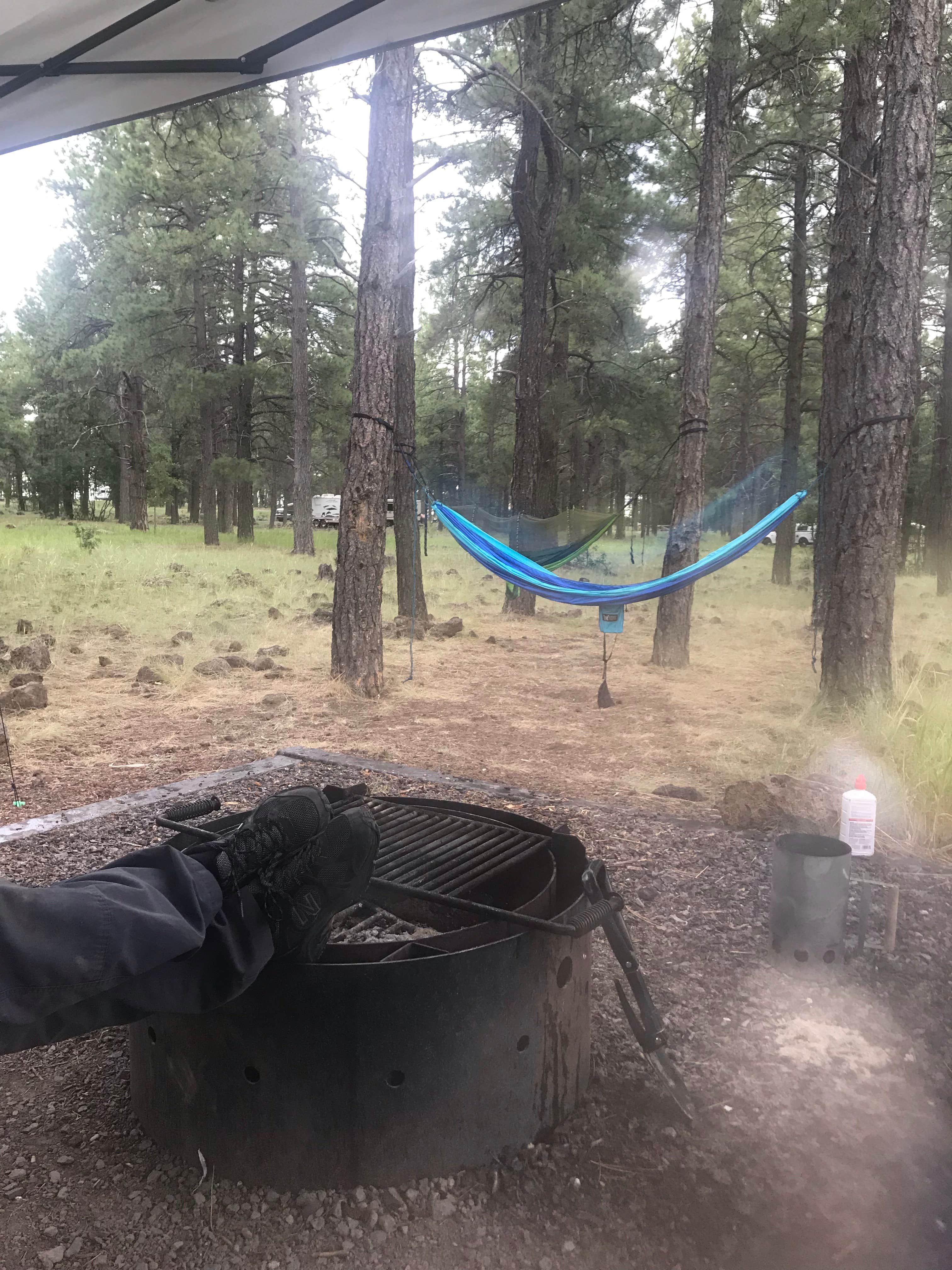 Jordan H.'s photo at Dogtown Lake Campground And Group near Parks, AZ
