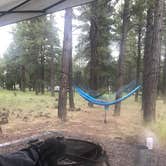 Review photo of Dogtown Lake Campground And Group by Jordan H., August 3, 2019