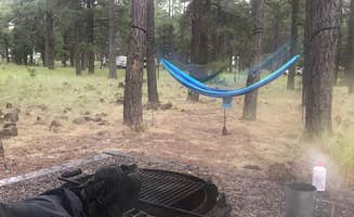 Jordan H.'s photo at Dogtown Lake Campground And Group near Williams, AZ