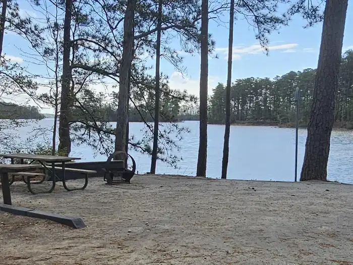 Ridge Road - J Strom Thurmond Lake