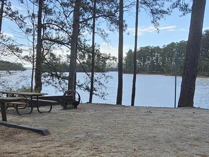 Camper submitted image from Ridge Road - J Strom Thurmond Lake - 1