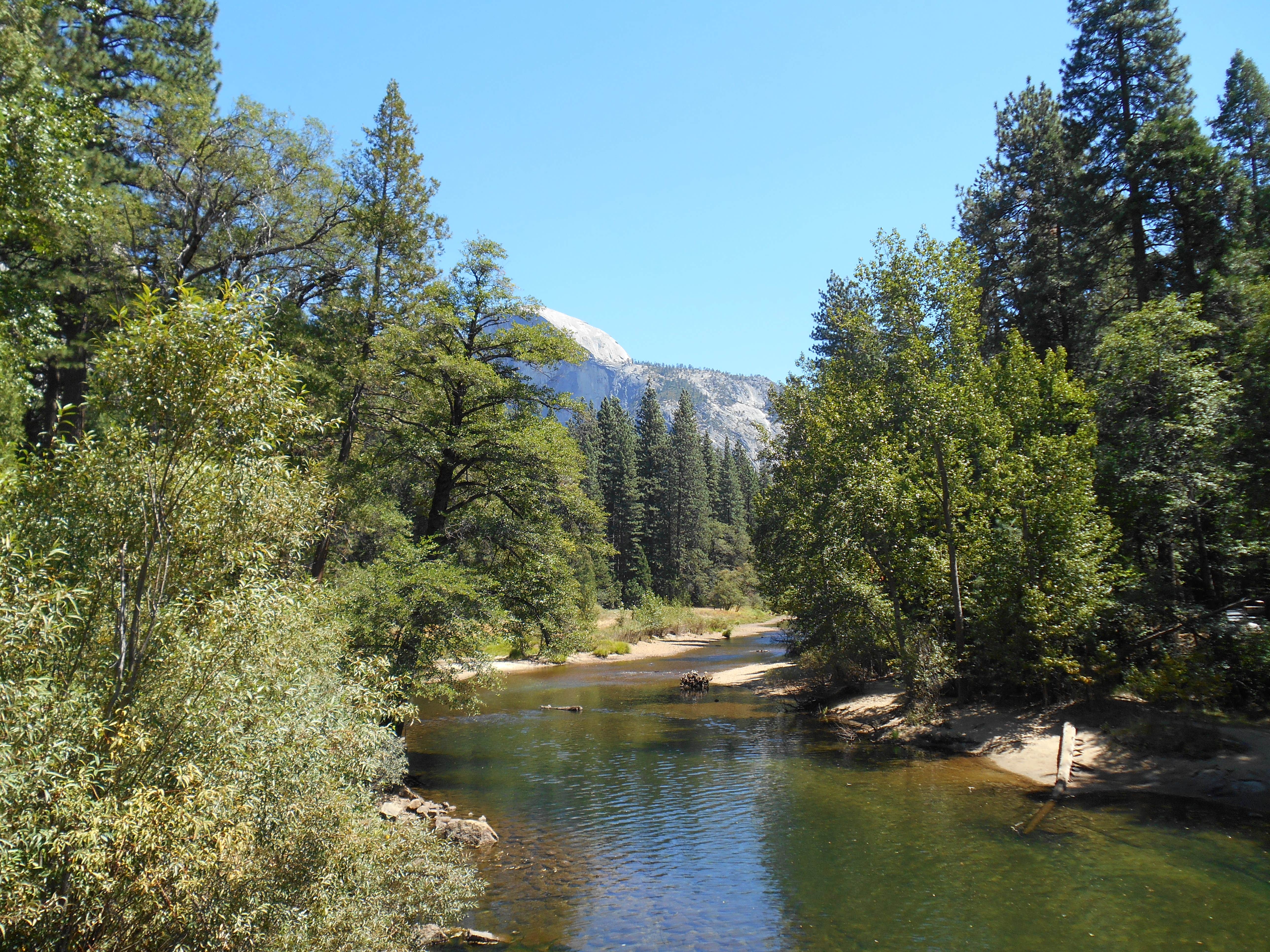 Camper submitted image from Yosemite Creek — Yosemite National Park - 3