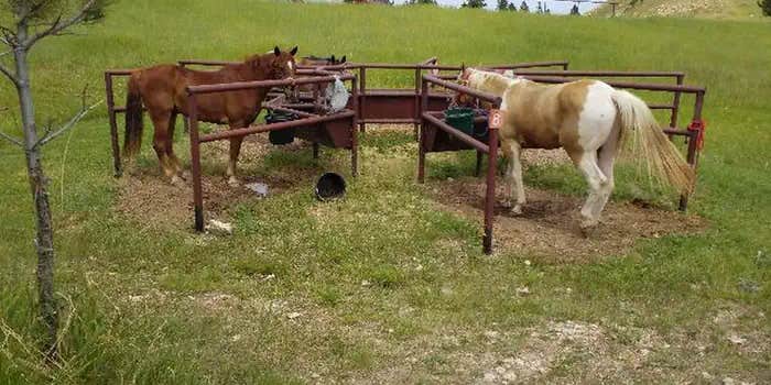 Camper submitted image from Sundance