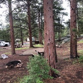 Review photo of Moraine Park Campground — Rocky Mountain National Park by Chad K., August 3, 2019