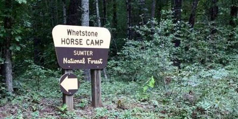Camper submitted image from Whetstone Horse Camp