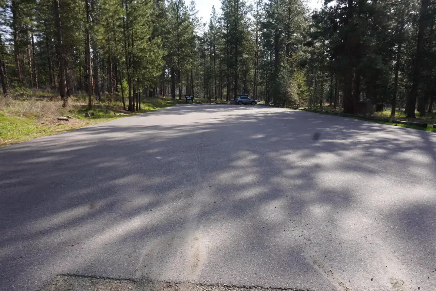 Camper-submitted photo at Larry Creek Group Campground near Florence, MT