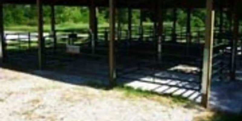 Camper submitted image from Frank Russell Campground