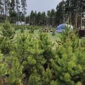 Review photo of Glacier Basin Campground — Rocky Mountain National Park by Chad K., August 3, 2019