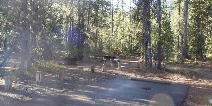 Camper submitted image from Lodgepole Campground (washington)