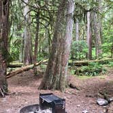 Review photo of Colonial Creek South Campground — Ross Lake National Recreation Area by Chad K., August 3, 2019