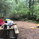 Review photo of Fort Ebey State Park Campground by Chad K., August 4, 2019