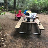 Review photo of Fort Ebey State Park Campground by Chad K., August 4, 2019