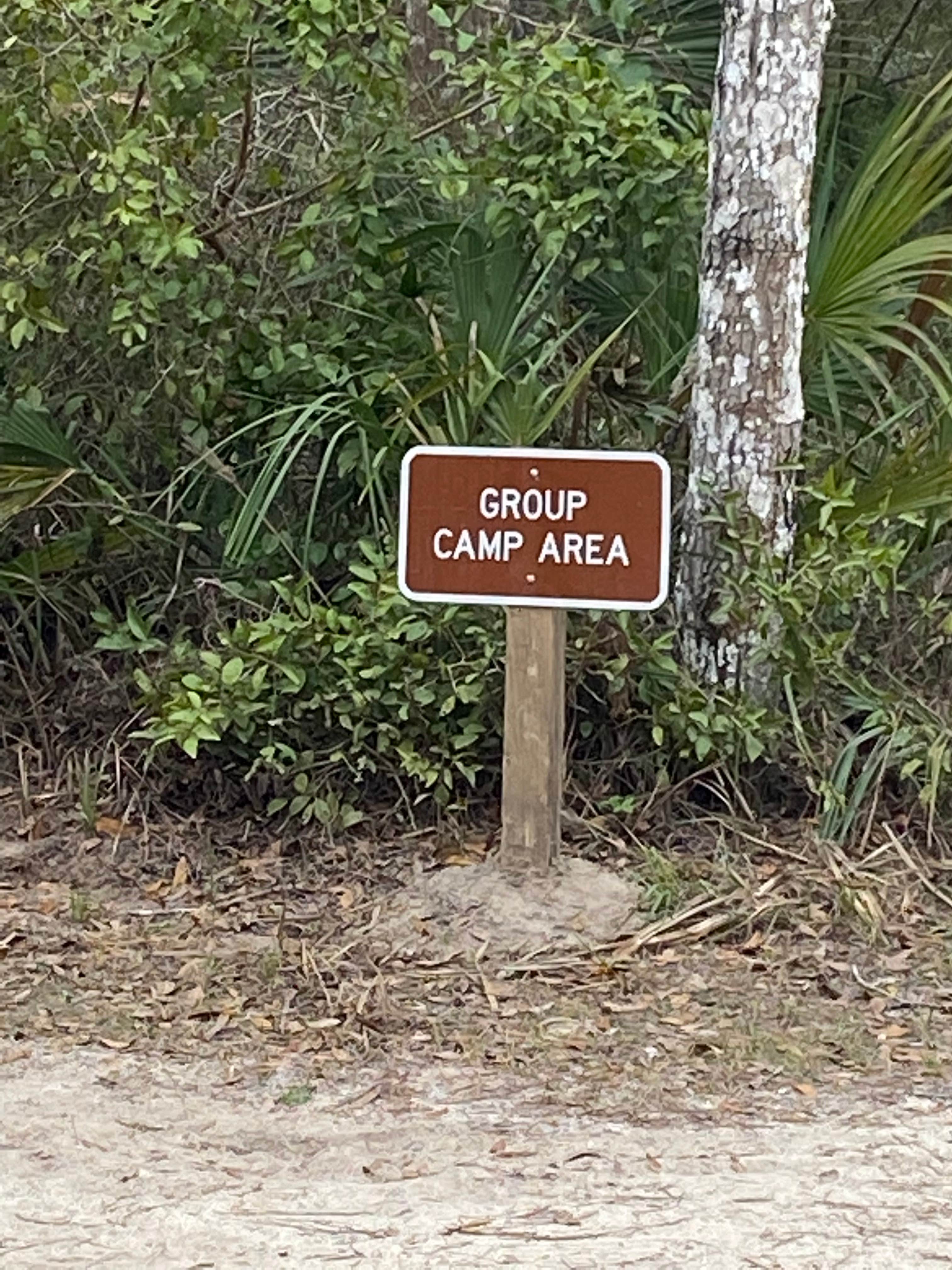 Camper submitted image from Youth Primitive Campground - Tomoka State Park - 3