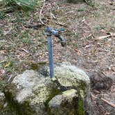 Review photo of Youth Primitive Campground - Tomoka State Park by Stuart K., October 10, 2025