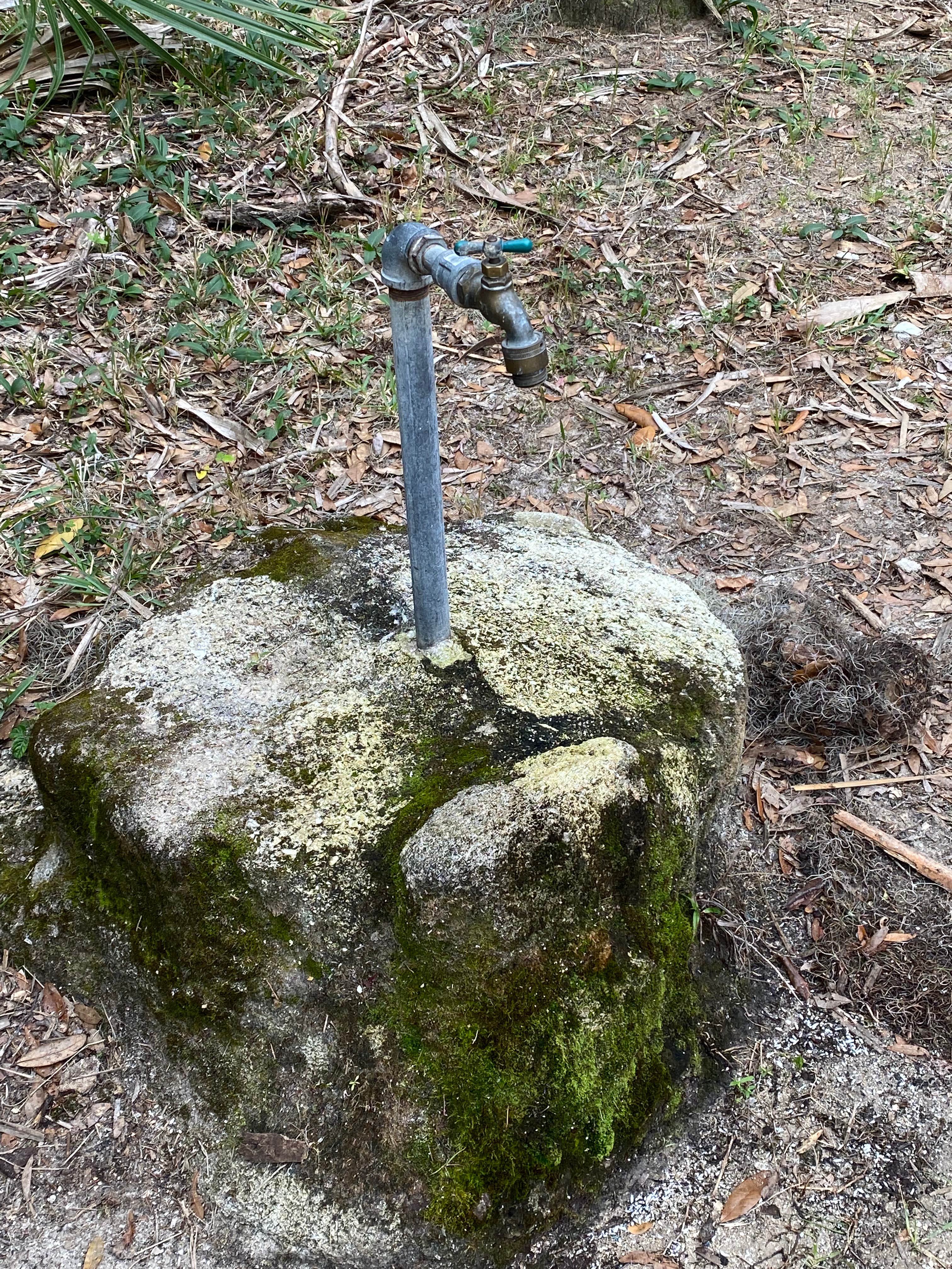Camper submitted image from Youth Primitive Campground - Tomoka State Park - 4
