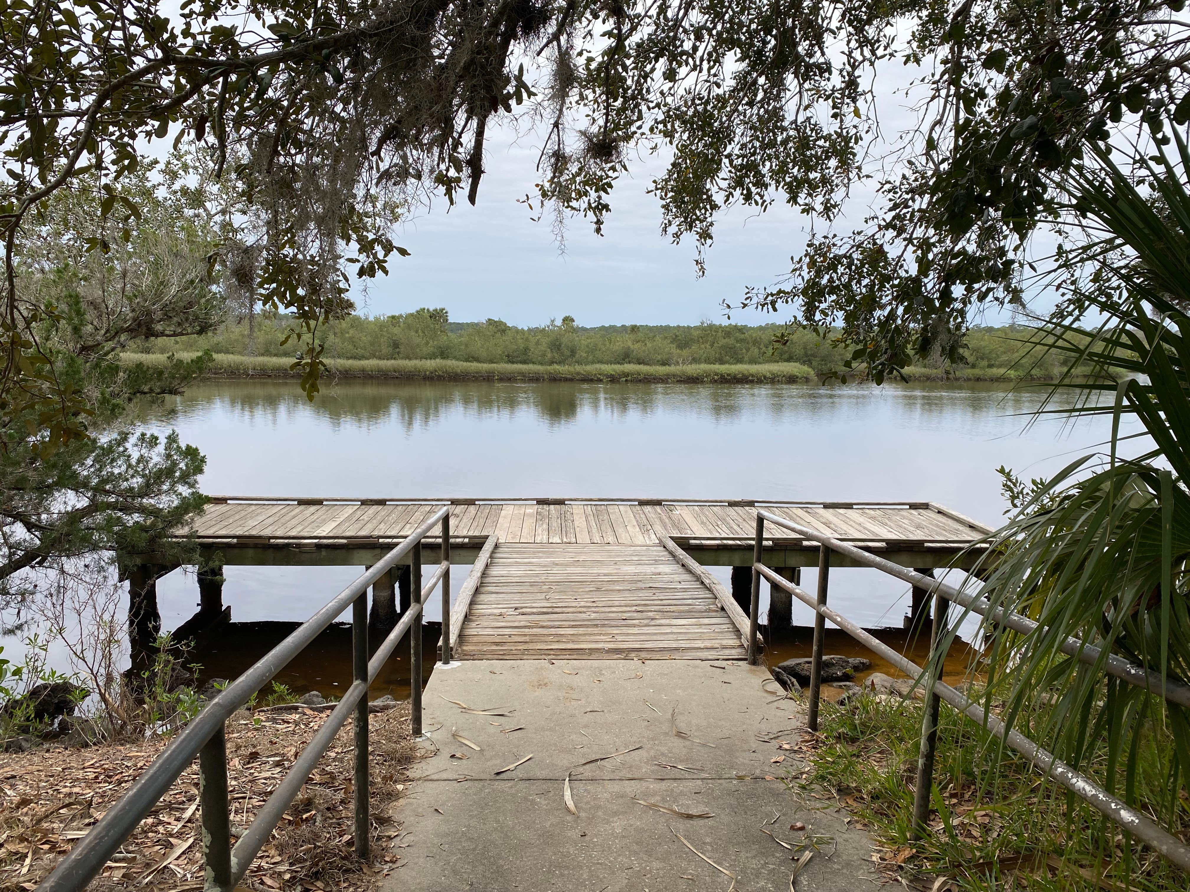Camper submitted image from Youth Primitive Campground - Tomoka State Park - 5