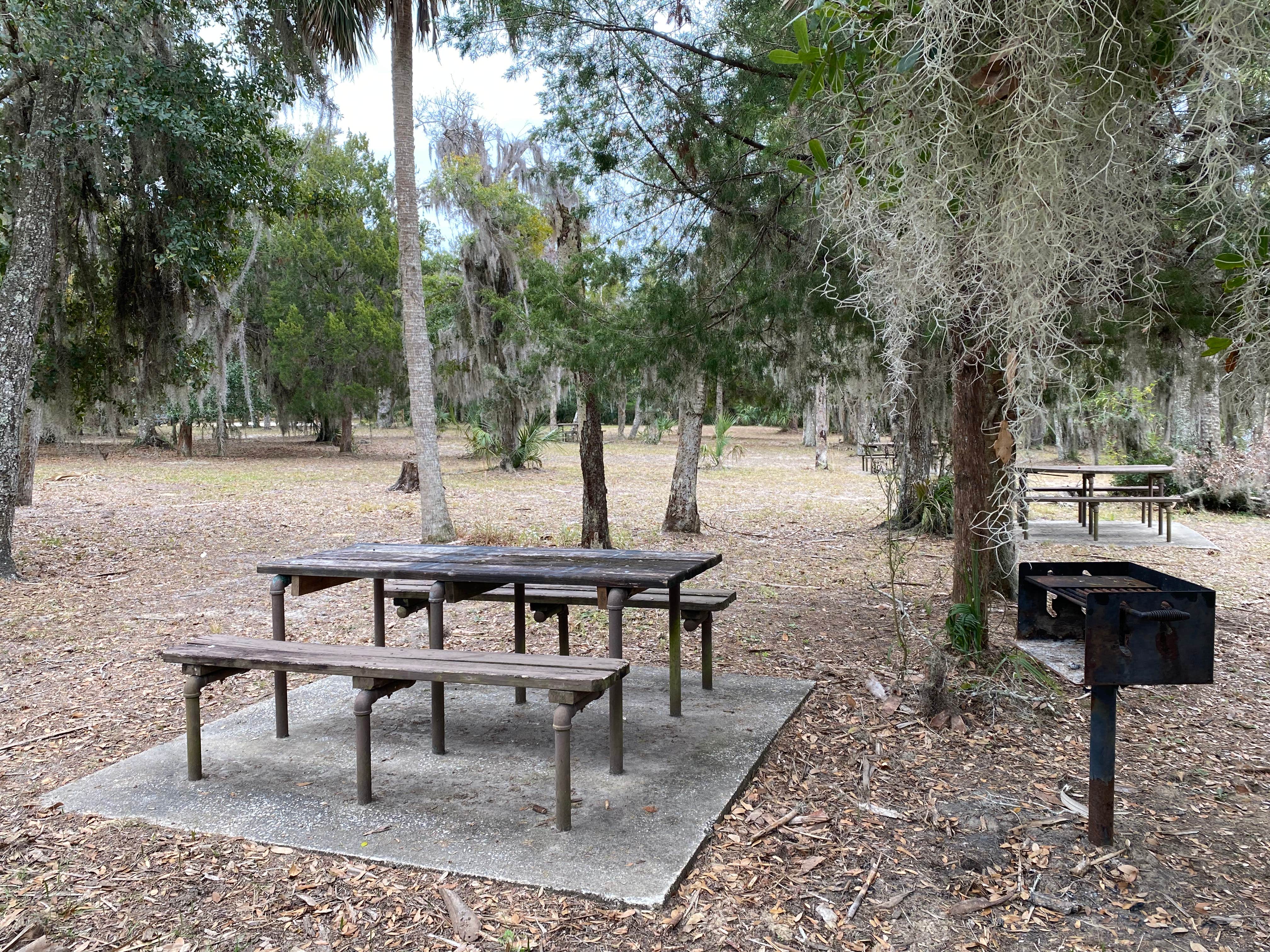 Camper-submitted photo at Youth Primitive Campground - Tomoka State Park near Ormond Beach, FL