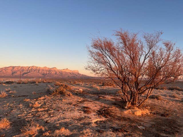 Camper-submitted photo at Campfire Adventure Ranch near Dell City, TX