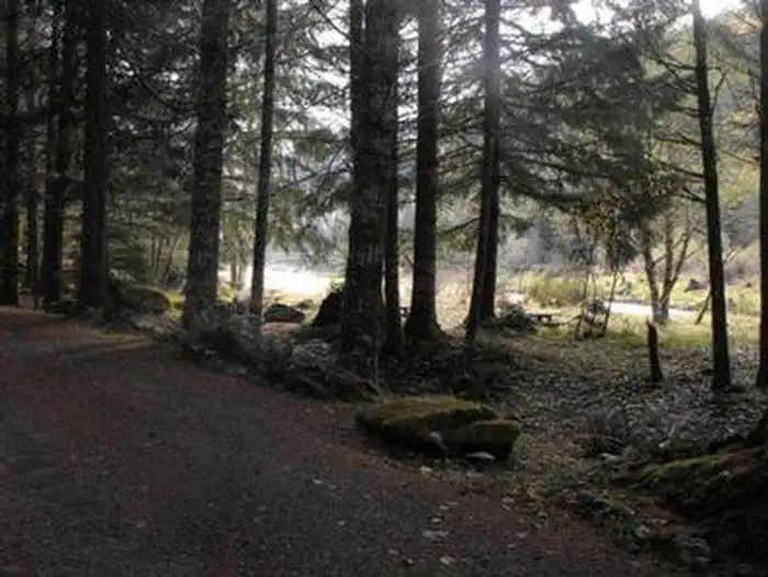 Camper submitted image from Sunnyside Campground - 1