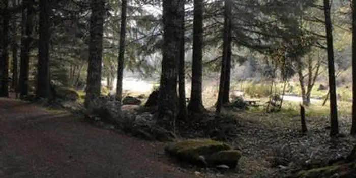 Camper submitted image from Sunnyside Campground