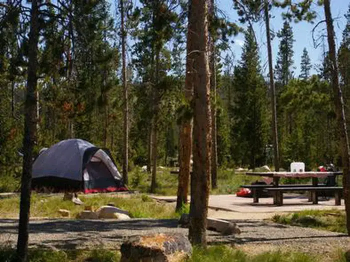 Camper-submitted photo at Sunny Gulch Campground near Stanley, ID