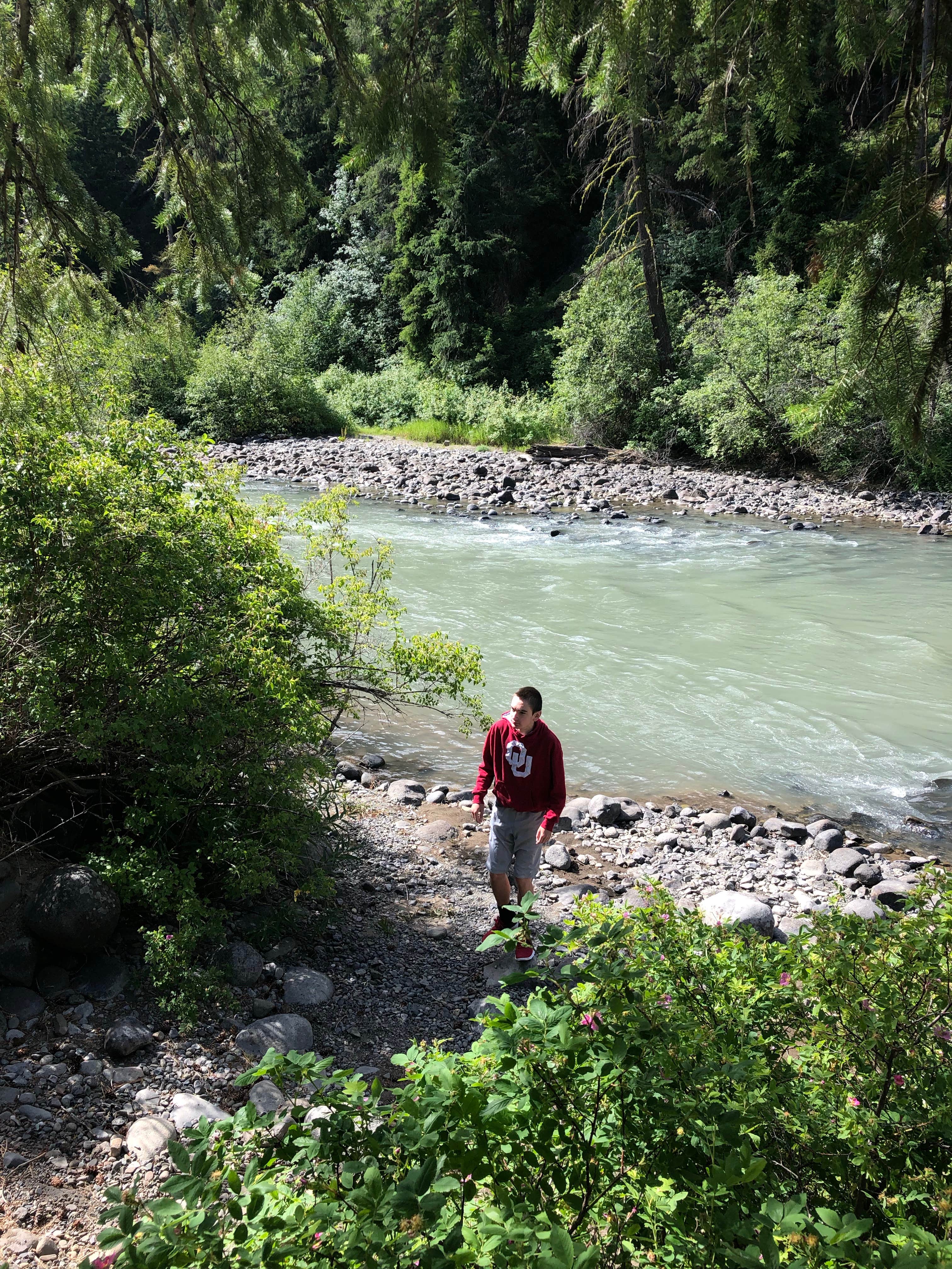 Camper submitted image from Willows Campground - 4