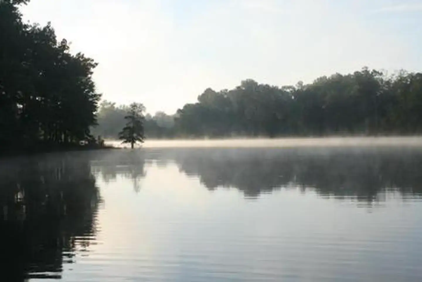 Camper-submitted photo at Forkland Campground near Tennessee-Tombigbee Waterway