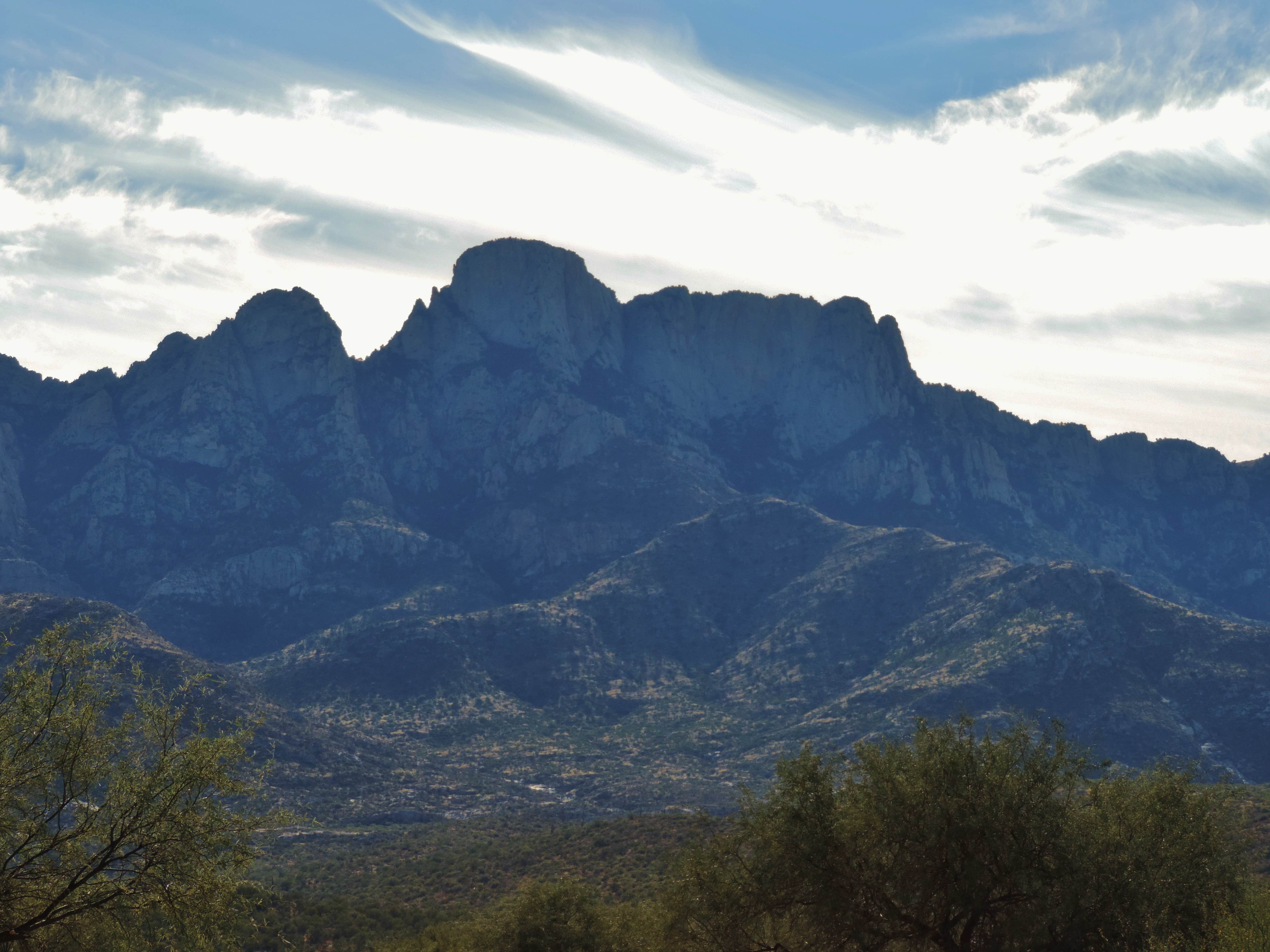 Camper-submitted photo at Catalina State Park Campground in Arizona