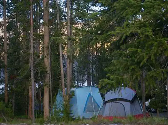 Camping near Mountain View Campground: Outlet Campground at Redfish Lake, Stanley, Idaho