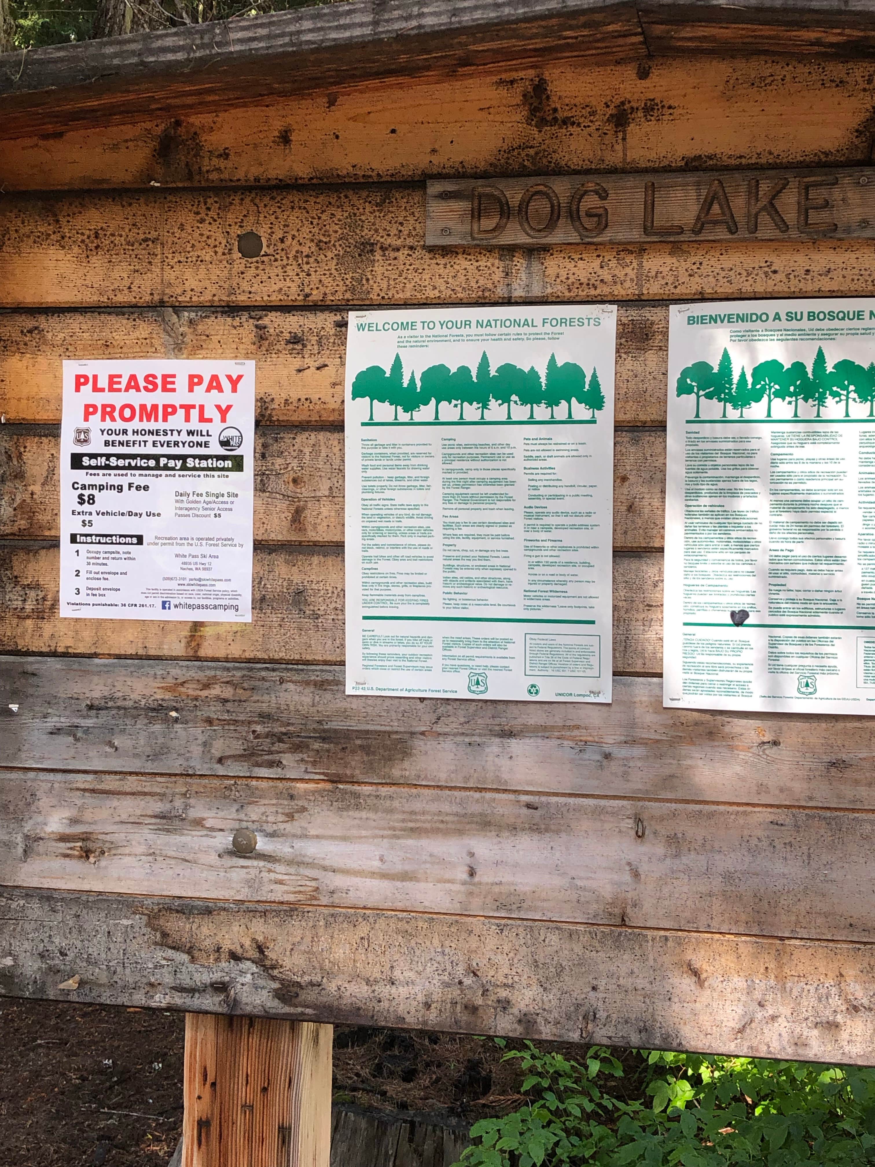 Camper submitted image from Dog Lake Campground - 1