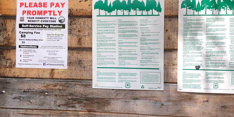 Camper submitted image from Dog Lake Campground