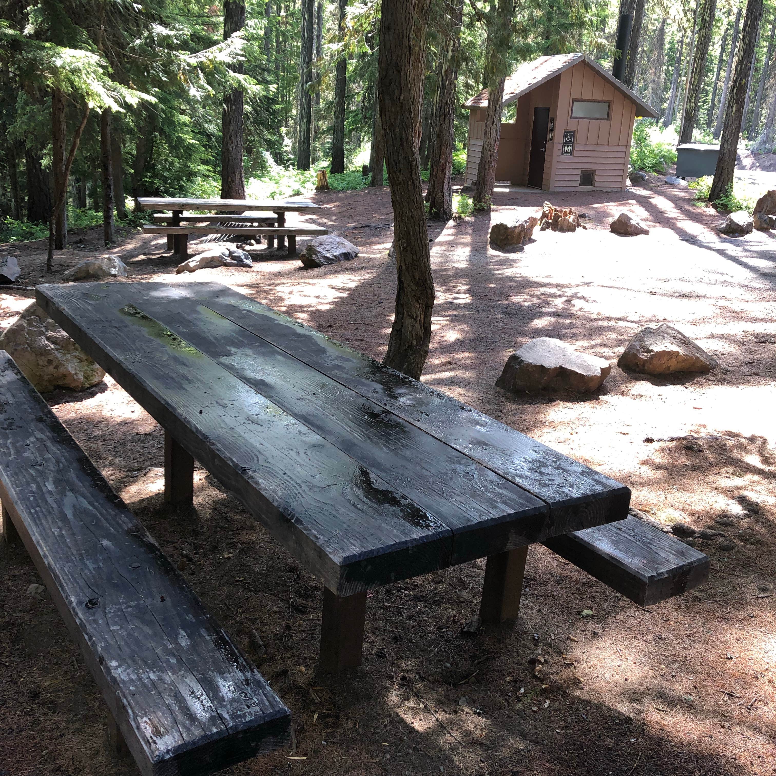 Camper submitted image from Dog Lake Campground - 5