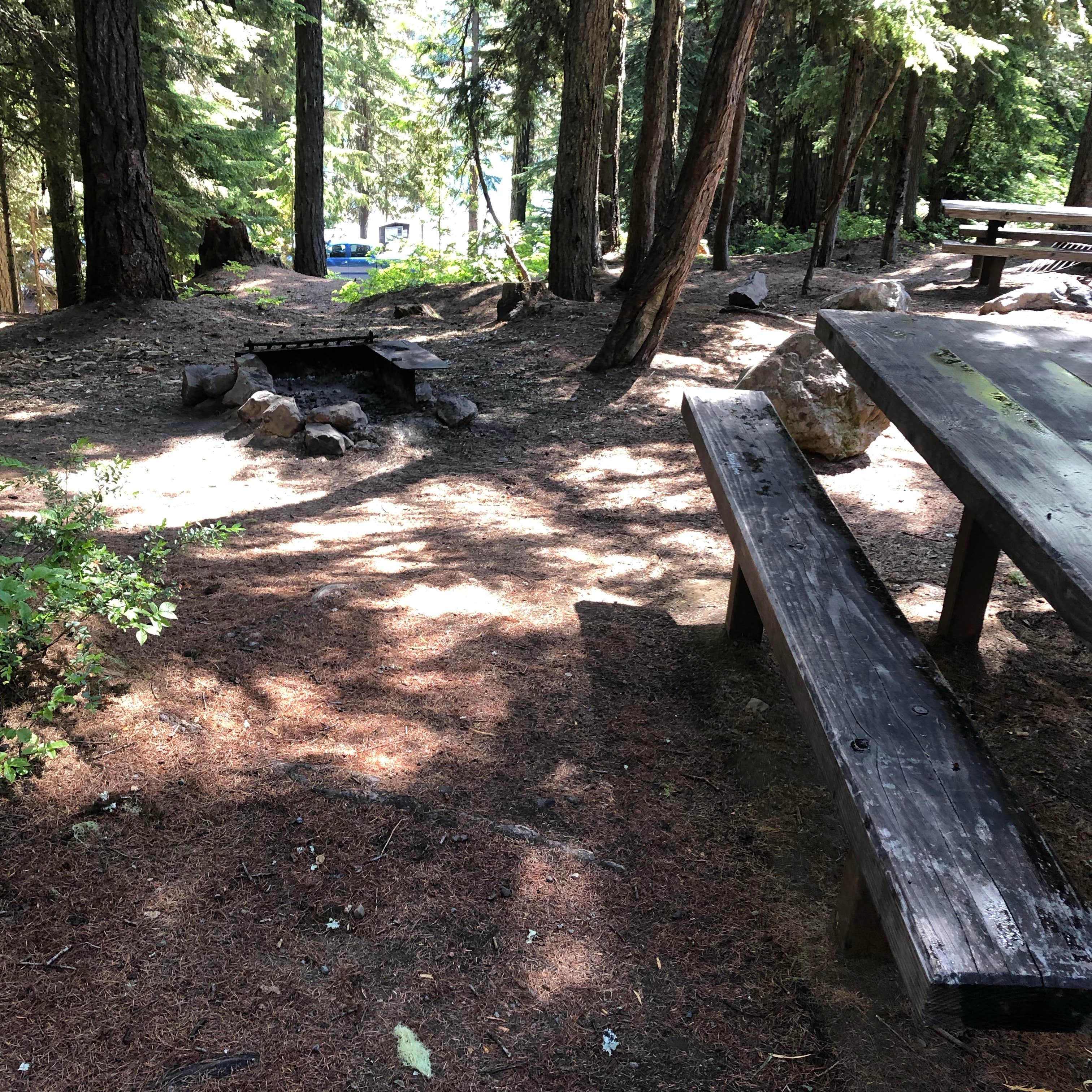 Camper submitted image from Dog Lake Campground - 5