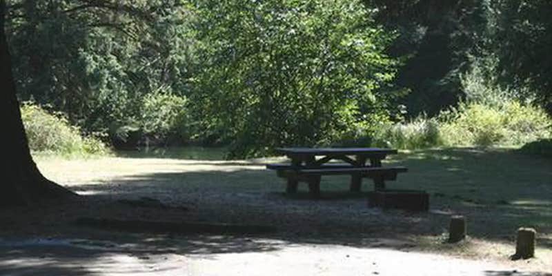 Camper submitted image from Tyee Campground