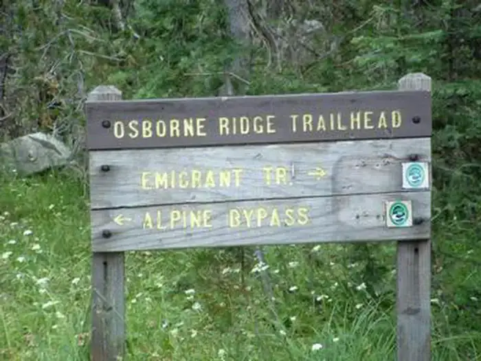 Camping near Silver Valley: (lake Alpine) Lodgepole Campground, Bear Valley, California